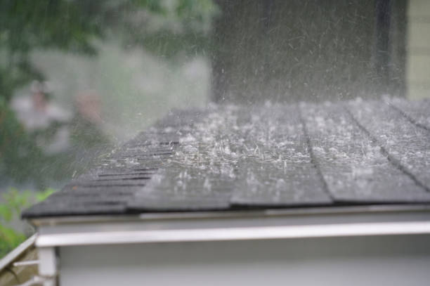 Best Gutter Installation and Repair  in , SD